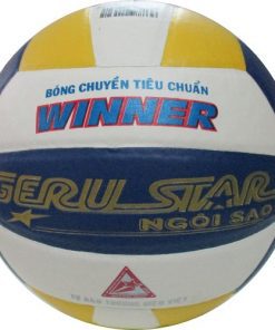 Bóng chuyền Gerustar Winner