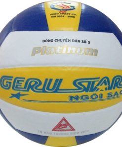 BÓNG CHUYỀN PLATINUM DÁN SỐ 5