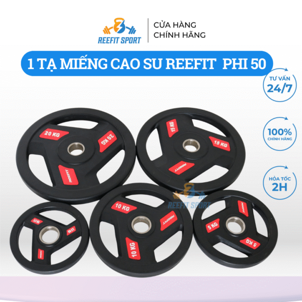 Tạ miếng bọc cao su 2.5kg 5kg 10kg 15kg 20kg phi 50