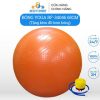 Bóng yoga cấu trúc 4D bóng gym thể hình vật lý trị liệu 65cm cao cấp nhập khẩu RF-34046 chống cháy nổ - kèm bơm bóng