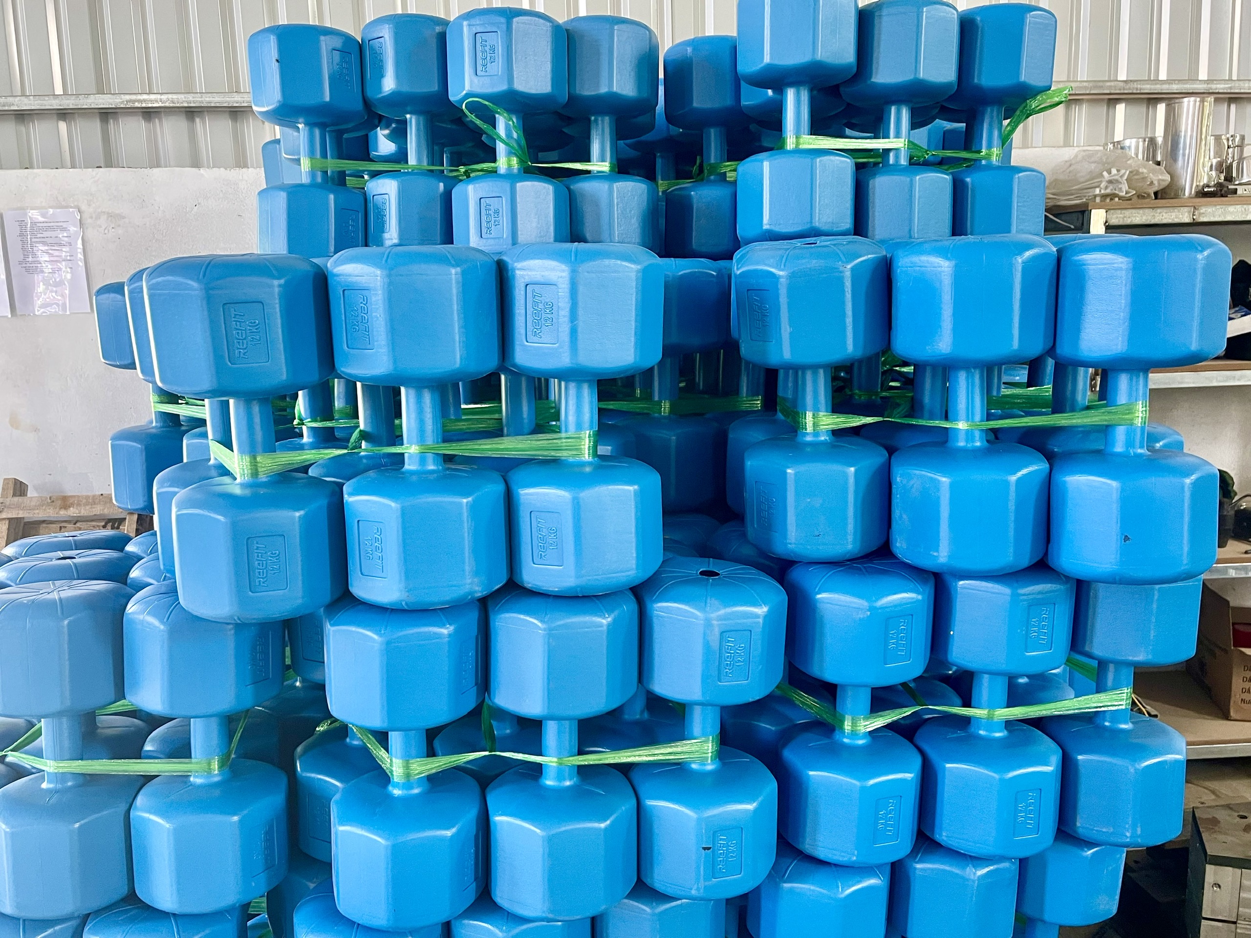 Vỏ tạ tay nhựa bát giác Reefit